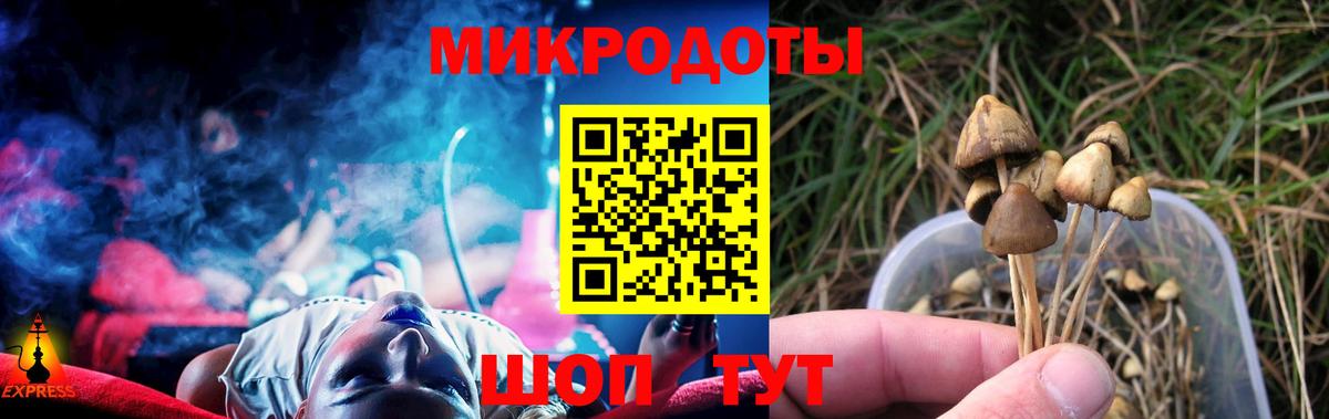 Алапаевск  Псилоцибиновые грибы мухоморы  купить  цена  Вход с VPN 